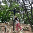 대전 계룡산 수통골 빈계산 등산코스 난이도 하