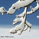 앤텔레콤 이미지