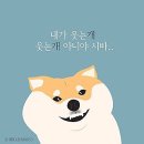 가차샵 이미지