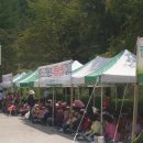 치악산산나물축제 Daum카페