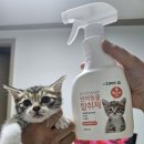 이거봐 나 몰래 알바뛰다 걸림 이미지