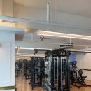 수원-1481 이미지