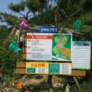 산아래글램핑 이미지