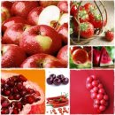 더 웰빙푸드 이미지