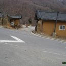 화천장뇌삼