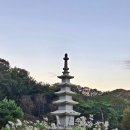 구절산 Daum카페