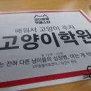 궁디팡팡 고양이학원 "신장병 강의"요약