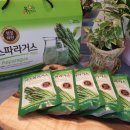 화천 아스파라거스 농장 이미지