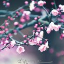 다비드 짐 이미지