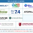 매터니티스쿨