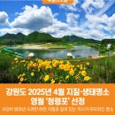 5/16(토)＜왕과사는 남자＞의 주인공 단종의 역사기행 영월!,청령포,장릉,관풍헌,선돌,서부시장여행 이미지