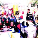 잠실리뽕나무 이미지