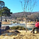 마비정길 이미지