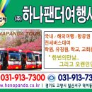 (주) 하나팬더여행사