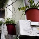 대추나무골마을 이미지