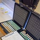 오렌즈-과기대점 이미지