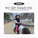 스마일농장 | 아기랑 어디갈까? 부산 정관 치유농장 온담 내돈내산 말타기 체험 후기