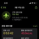 바디랜드 이미지