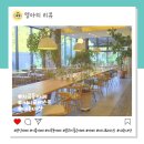 써니공방 - 강릉시 가작로 19 | 분위기 좋은 지곡동카페 써니포레스트 내돈내산 후기
