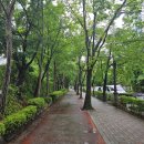 서현AK프라자(서현 보도육교) | 부동산 임장 | 성남시 분당구 - 수내 &amp; 서현 임장 기록