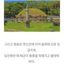 결혼식 후 선릉(성종.계비 정현 왕후)ㅡ500년 은행나무 이미지