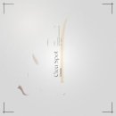 엔디피(NDP) 이미지