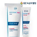 대한