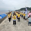 [거제지국] 가조도 창촌 해안가 정화 봉사활동 후기💛