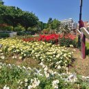 창조행정사사무소 이미지