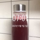 유한회사 디톡스코리아 | 시너지 원팩 다이어트 내돈내산 후기(효과, 부작용)