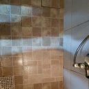 터진목로 Daum카페