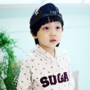 민트도그 Daum카페