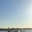 동상약국 | [샌디에고] 치폴레, 텍사스 로드하우스, 키스 동상