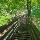 배내시티SA 이미지