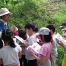 칠서초등학교 이미지