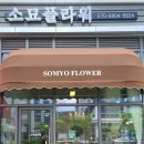 소묘플라워