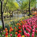 웅천중앙로 이미지