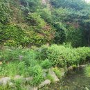 건들바위 이미지