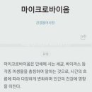 메타라이프 이미지