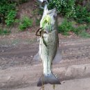 제이앤에스코리아 이미지