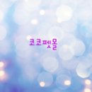 스마트펫몰