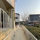 제주 노형동 카페, 소나무커피 크렘당쥬