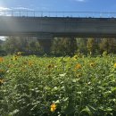 스님+며느리(2) 이미지