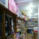 쌍방울애견 이미지