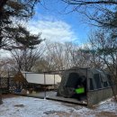 당나귀숲 | [35번째 캠핑] 반달곰이살던숲 밤숲존 두가족사이트 예약 장단점 시설놀이 후기