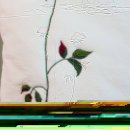 바오밥나무 민박 이미지