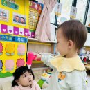 꽁냥꽁냥 이미지