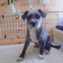 이쁘개(내포신도시점) 이미지