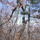 도대리보건진료소 이미지