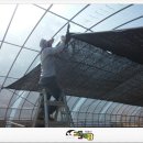 중앙흑염소농장 이미지